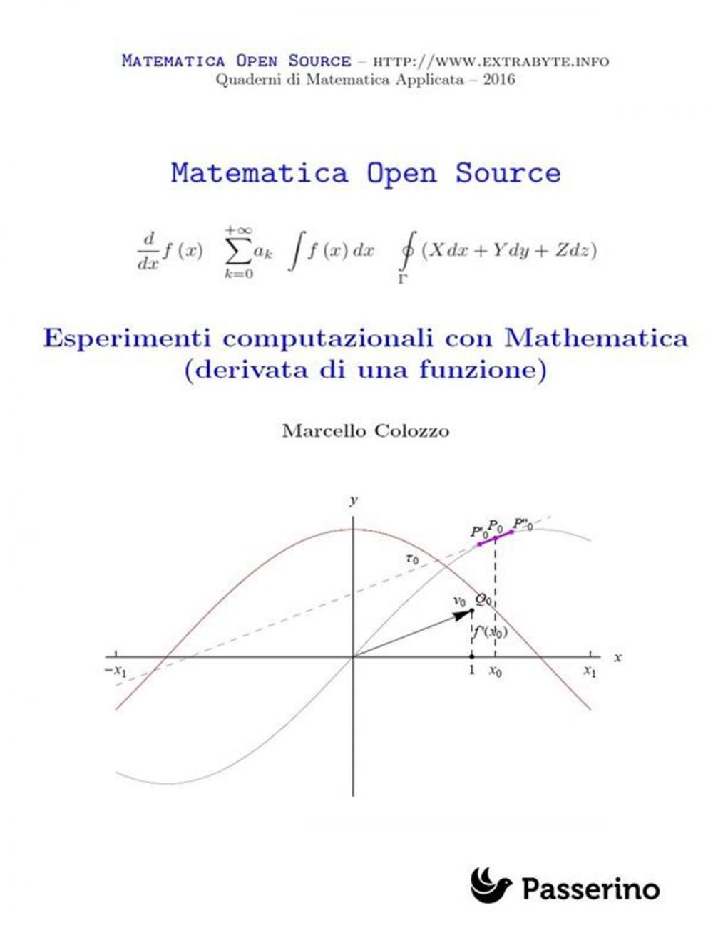 Big bigCover of Esperimenti computazionali con Mathematica (derivata di una funzione)