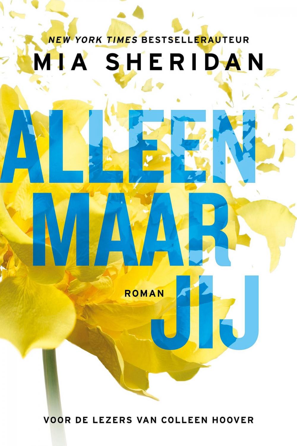 Big bigCover of Alleen maar jij