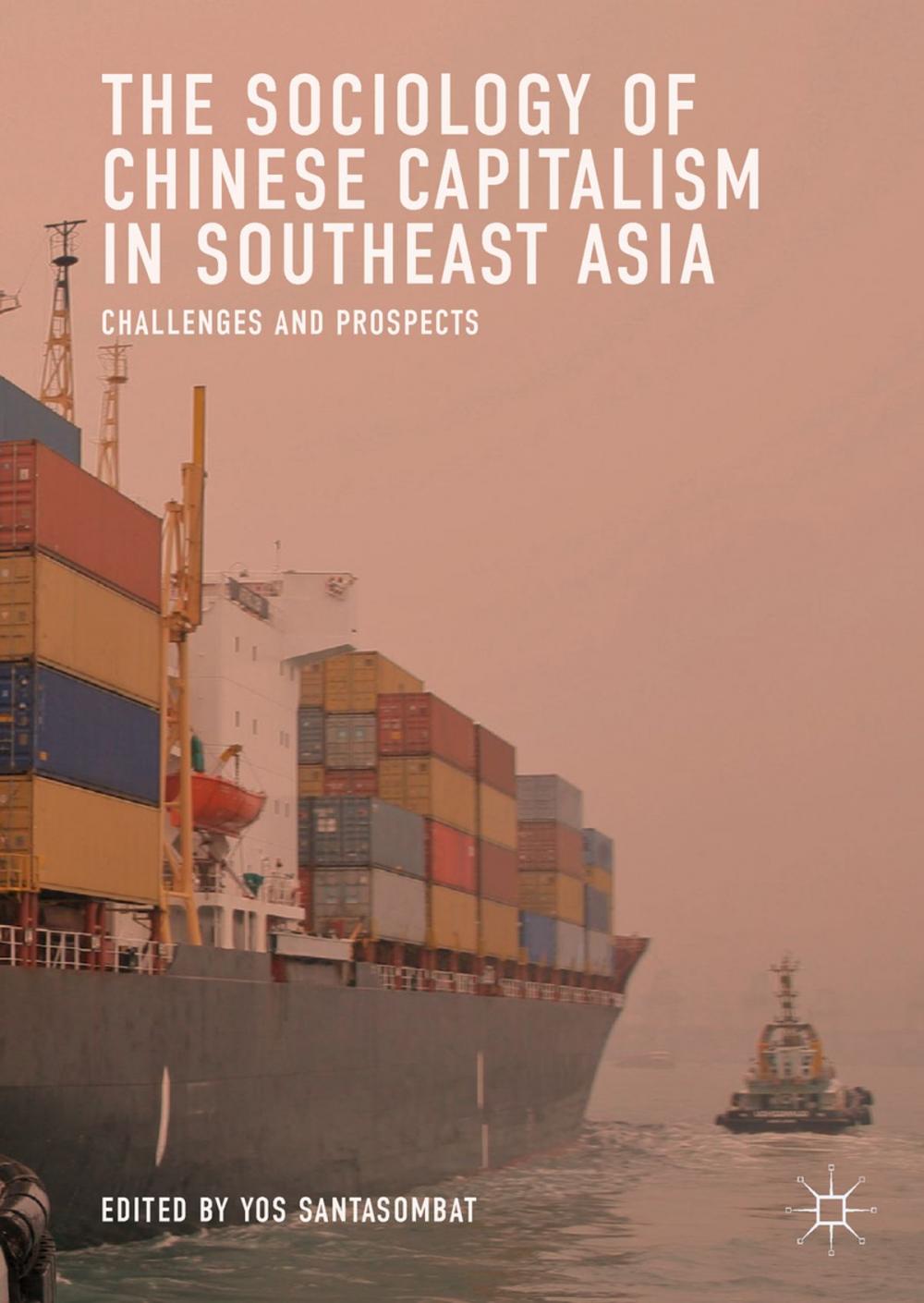 Big bigCover of The Sociology of Chinese Capitalism in Southeast Asia