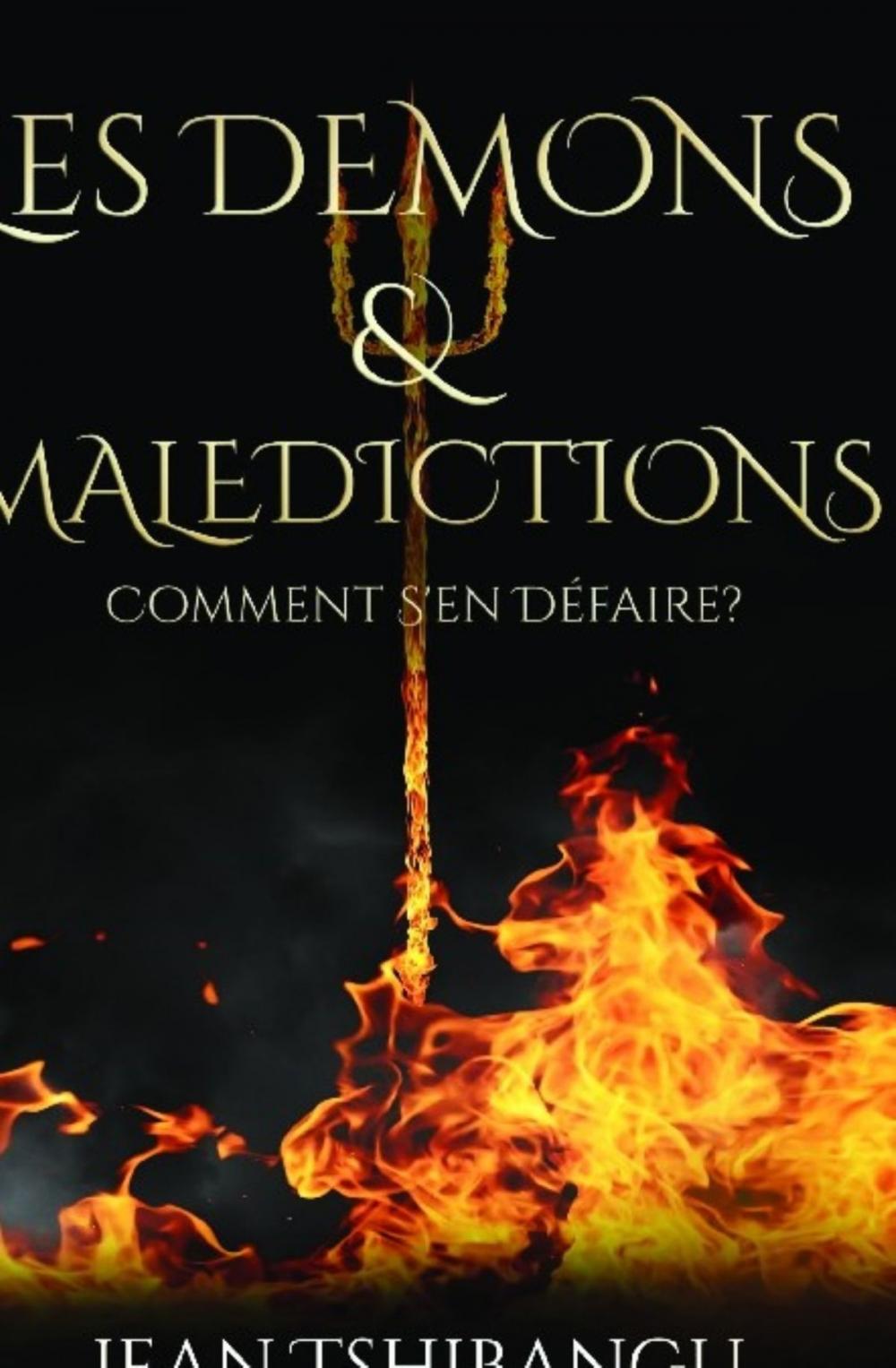 Big bigCover of LES DEMONS ET MALEDICTIONS