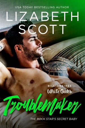Cover of the book Troublemaker by Crystal Archer