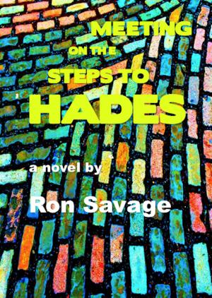 Cover of the book Meeting on the Steps to Hades by R.D. Cervo