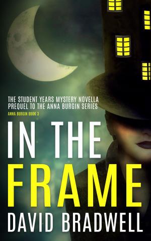 Cover of the book In The Frame - Prequel Mystery Novella by Hugh Pentecost