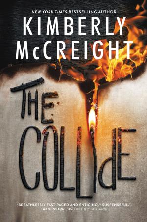 Cover of the book The Collide by Oisin McGann