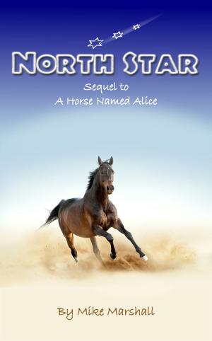 Cover of the book North Star by E. Ann McIntyre