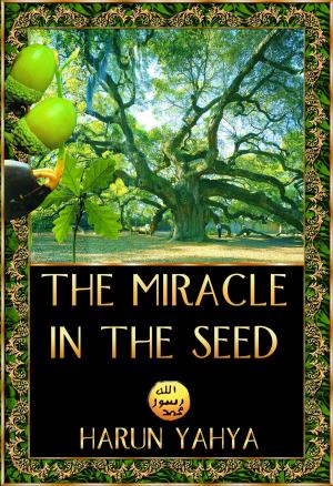Book cover of The Miracle in the Seed