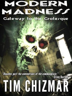 Cover of the book Modern Madness: Gateway to the Grotesque by Liliana Marchesi