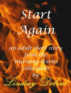 Cover of the book Start Again by Ronda DeMure