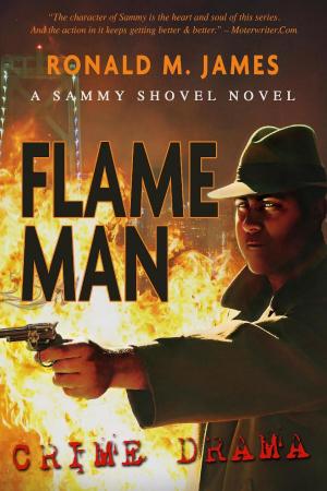 bigCover of the book Flame Man by 