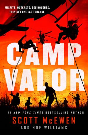 Cover of the book Camp Valor by Stever Robbins