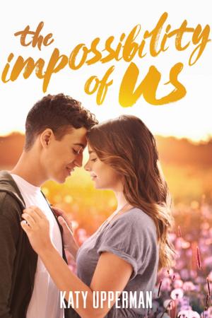Cover of the book The Impossibility of Us by James Preller