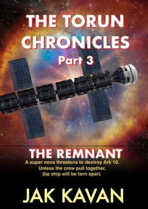 Cover of the book THE REMNANT by Elisabeth Wheatley