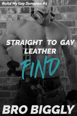 Cover of the book Find: Straight to Gay Leather by Hauten Whett