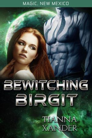 Cover of the book Bewitching Birgit by Mark James Wooding