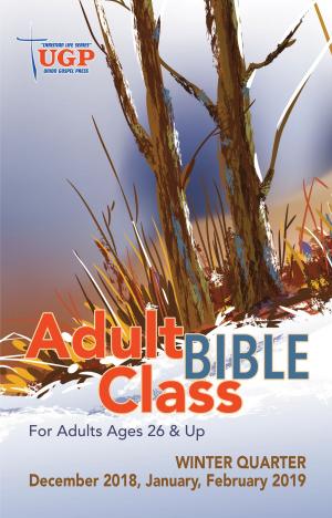 Cover of the book Adult Bible Class by None Grace Dola Balogun None, None Lisa Hainline None