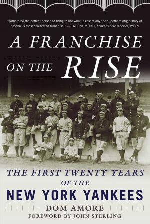Cover of the book A Franchise on the Rise by Steve Bisheff