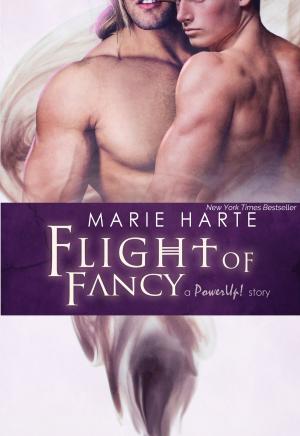 Cover of the book Flight of Fancy by Steven Arnett