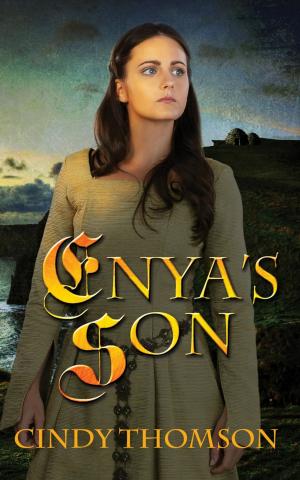 bigCover of the book Enya's Son by 