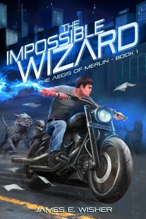 Cover of The Impossible Wizard