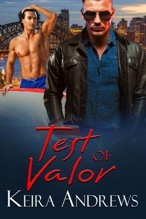 Cover of the book Test of Valor by M. R. Mathias