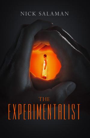 Cover of the book The Experimentalist by Mark Wm Smith