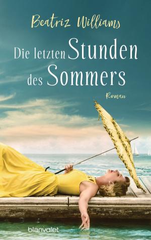 Cover of Die letzten Stunden des Sommers