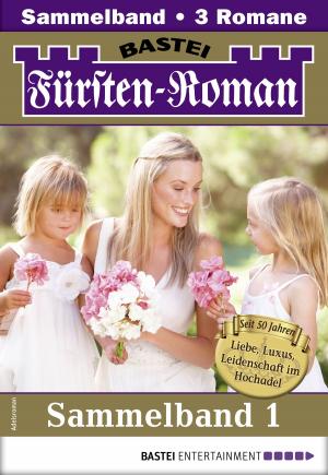 Cover of the book Fürsten-Roman Sammelband 1 - Adelsroman by Megan Nörstrum