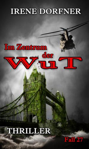 Cover of the book Im Zentrum der Wut by Tilman Janus