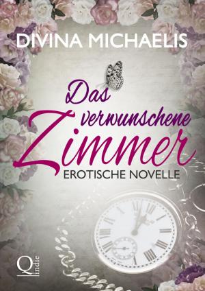 Cover of the book Das verwunschene Zimmer by Betty J. Viktoria