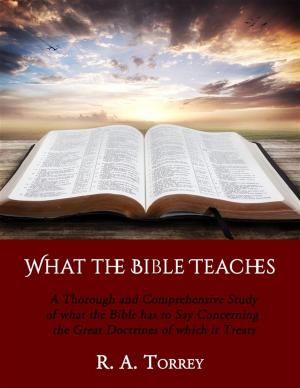 Cover of the book What the Bible Teaches by David Mayorga
