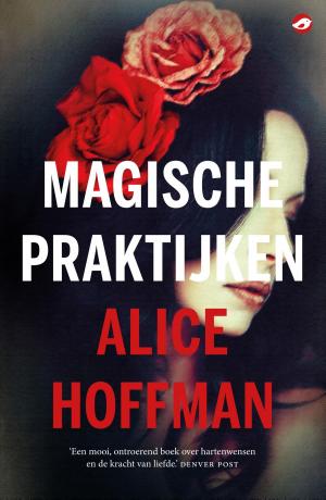 Cover of the book Magische praktijken by Brigitte van Baren, Johannes Witteveen