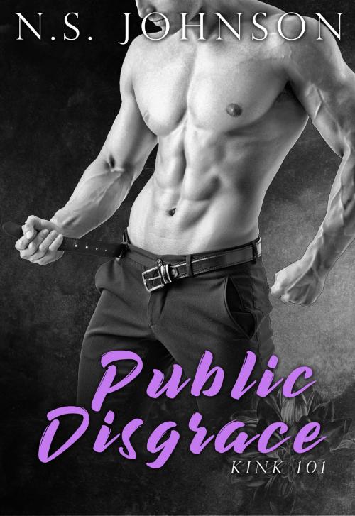 Cover of the book Public Disgrace by N.S. Johnson, N.S. Johnson