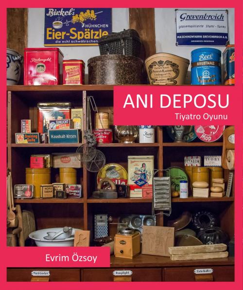 Cover of the book Anı Deposu by Evrim Özsoy, Evrim Özsoy