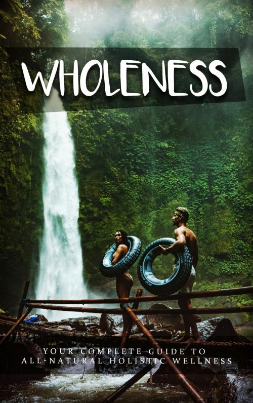 Cover of the book Wholeness by James Smith, SoftTech