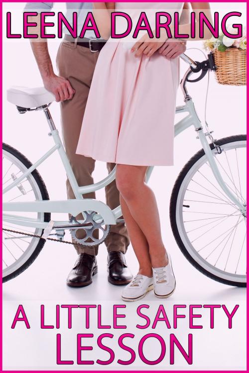 Cover of the book A Little Safety Lesson by Leena Darling, Leena Darling