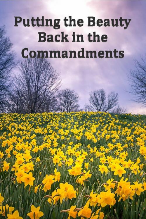 Cover of the book Putting the Beauty Back in the Commandments by Jessie Partington, Finck, Inc. Publishing