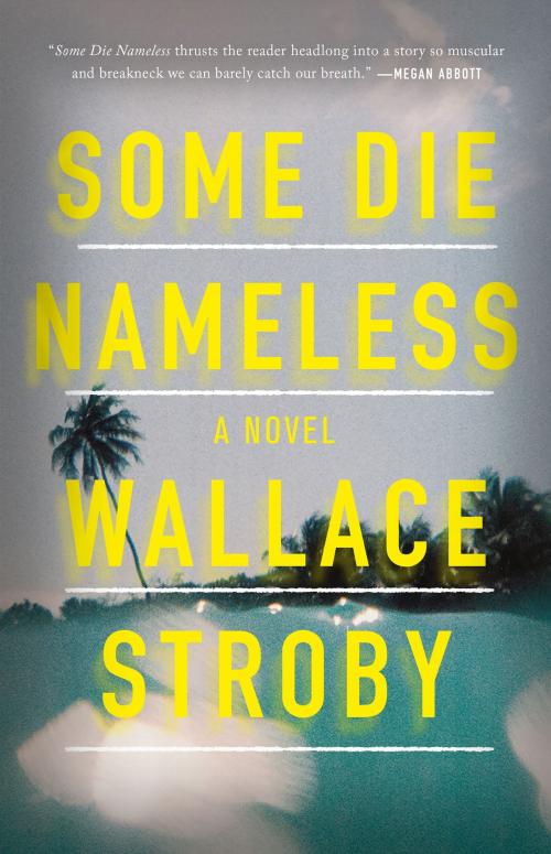 Cover of the book Some Die Nameless by Wallace Stroby, Little, Brown and Company