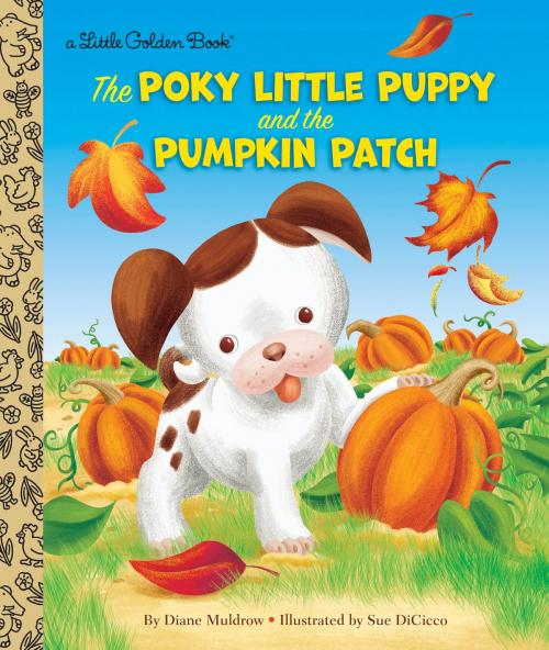 Cover of the book The Poky Little Puppy and the Pumpkin Patch by Diane Muldrow, Random House Children's Books