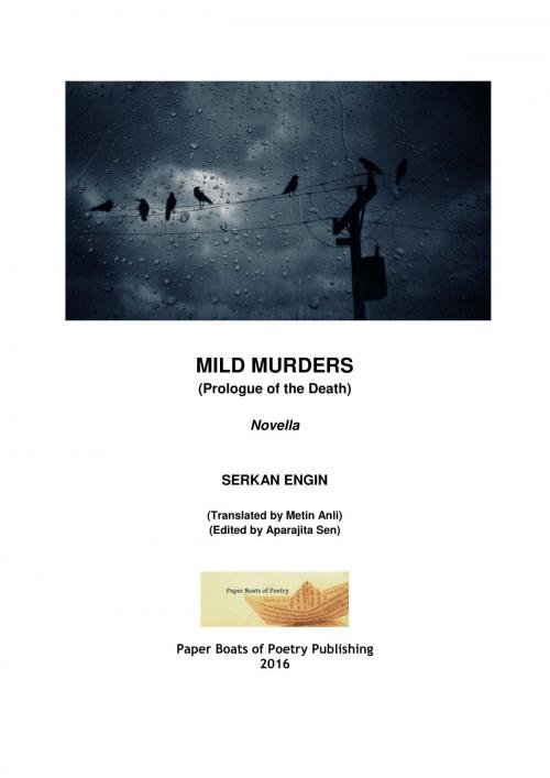 Cover of the book Mild Murders by Serkan Engin, Serkan Engin