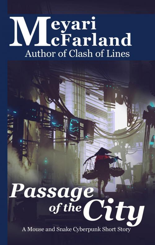 Cover of the book Passage of the City by Meyari McFarland, MDR Publishing