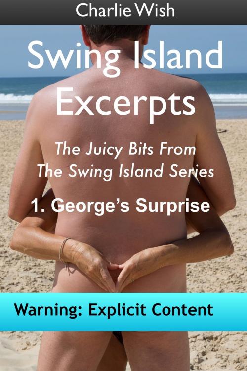 Cover of the book Swing Island Excerpts 1 George's Surprise by Charlie Wish, Charlie Wish
