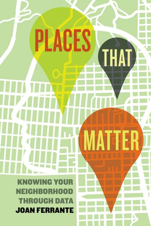 Cover of the book Places That Matter by Dr. Joan Ferrante, University of California Press
