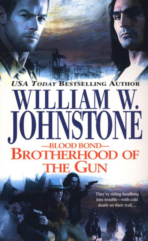 Cover of the book Brotherhood of the Gun by William W. Johnstone, Pinnacle Books