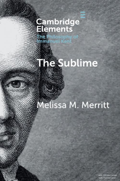 Cover of the book The Sublime by Melissa McBay Merritt, Cambridge University Press