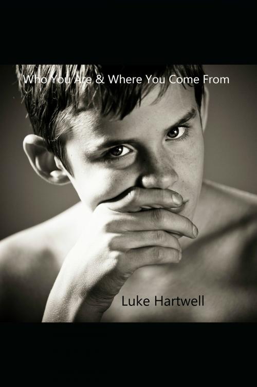 Cover of the book Who You Are and Where You Come From by Luke Hartwell, Watersgreen House