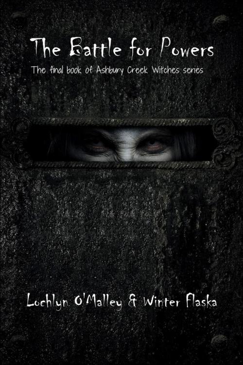 Cover of the book The Battle for Power by Lochlyn O'Malley, Winter Flaska, Jessica Flaska