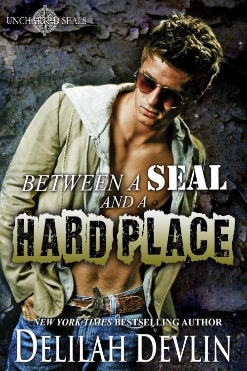 Cover of the book Between a SEAL and a Hard Place by Delilah Devlin, Delilah Devlin