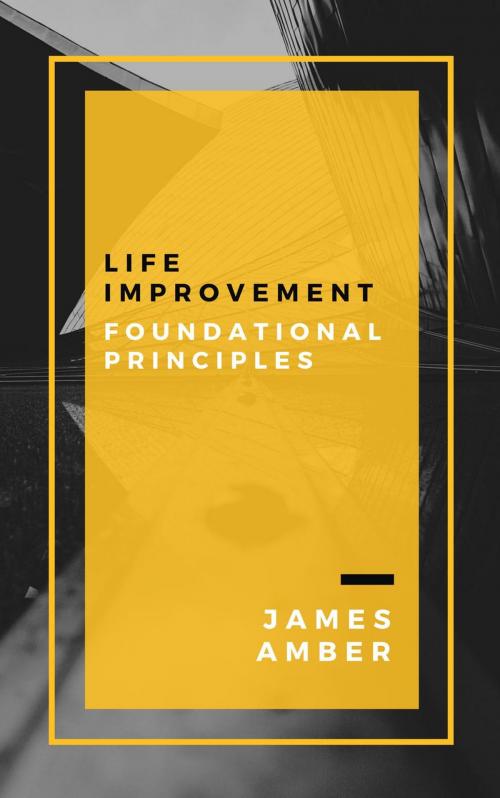 Cover of the book Life Improvement: Foundational Principles by James Amber, Personal Growth