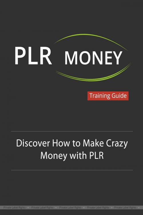 Cover of the book PLR Money Made Easy by John Hawkins, John Hawkins