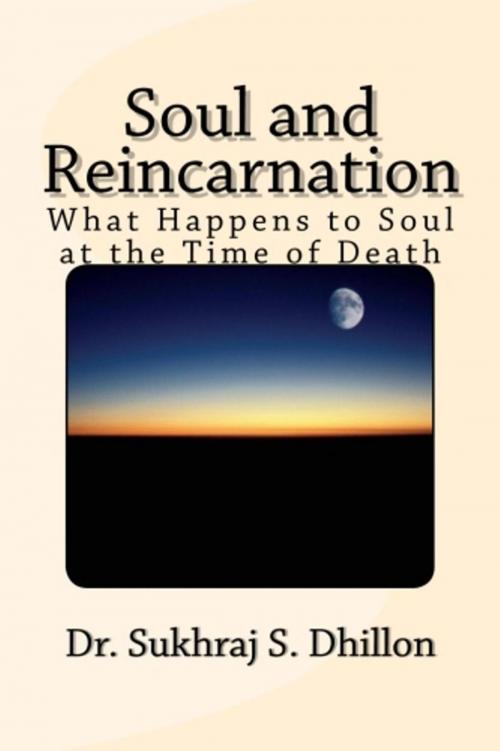 Cover of the book Soul and Reincarnation by Dr Sukhraj Dhillon, Dr. Sukhraj S. Dhillon